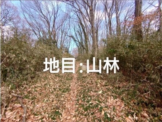 山林、原野、雑木林を格安で譲ります 原野商法】「渡りに船」のような「山林買います」の手紙には要注意！と